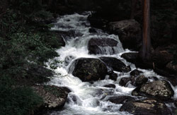 Rocky Mountain Waterfall